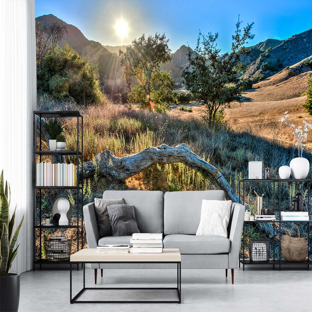 پوستر دیواری طبیعت تنه درخت در دشت t4052