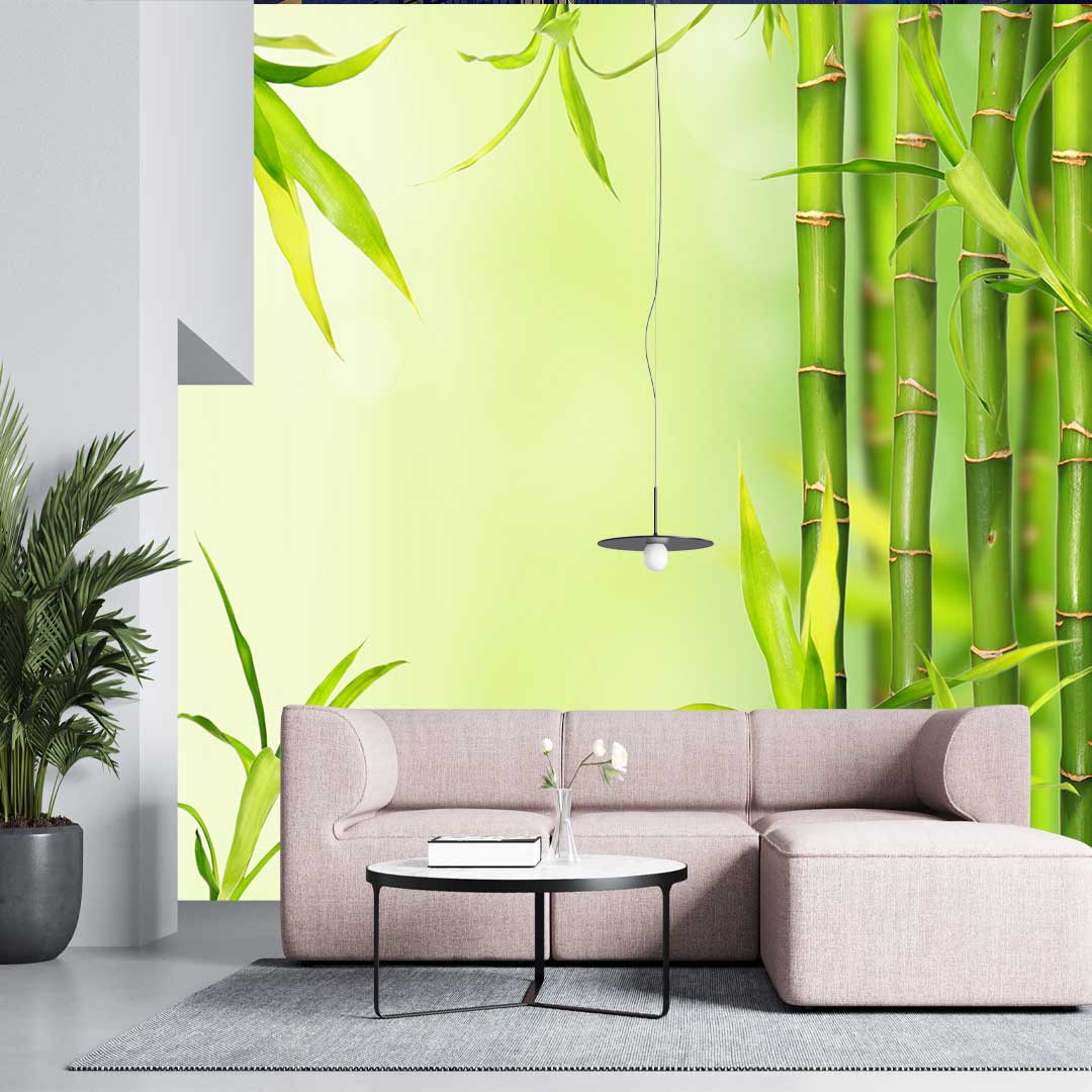 پوستر-دیواری -طبیعت -ساقه گیاه-4906T