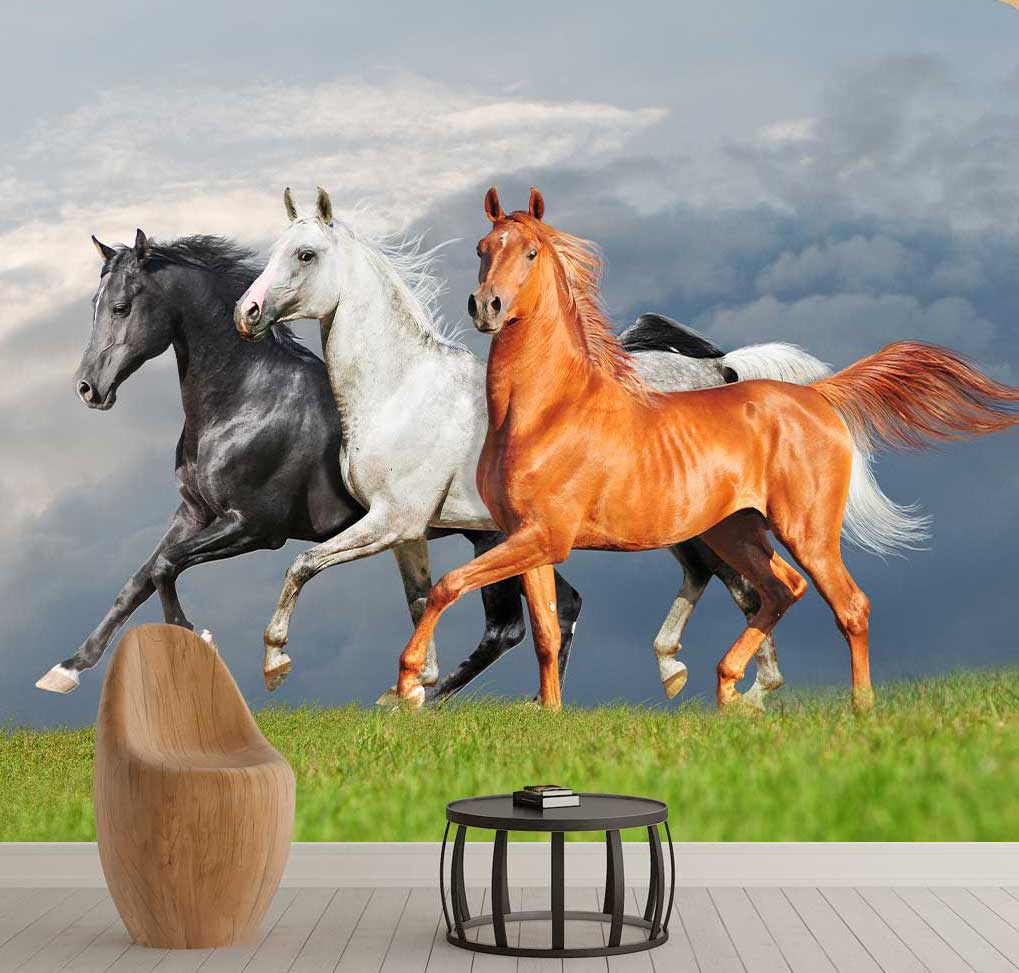 پوستر-دیواری-اسب-در-منظره-سبز-کد-h-11187
