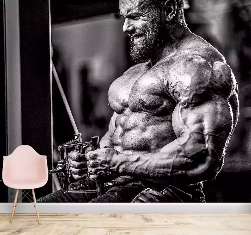 پوستر دیواری بدنسازی حرفه ای کد mt-83356