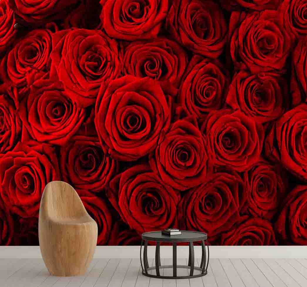 پوستر دیواری گل رز سرخ کد F-8206