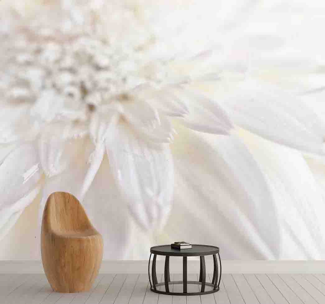 پوستر دیواری گل سفید کد F-8192