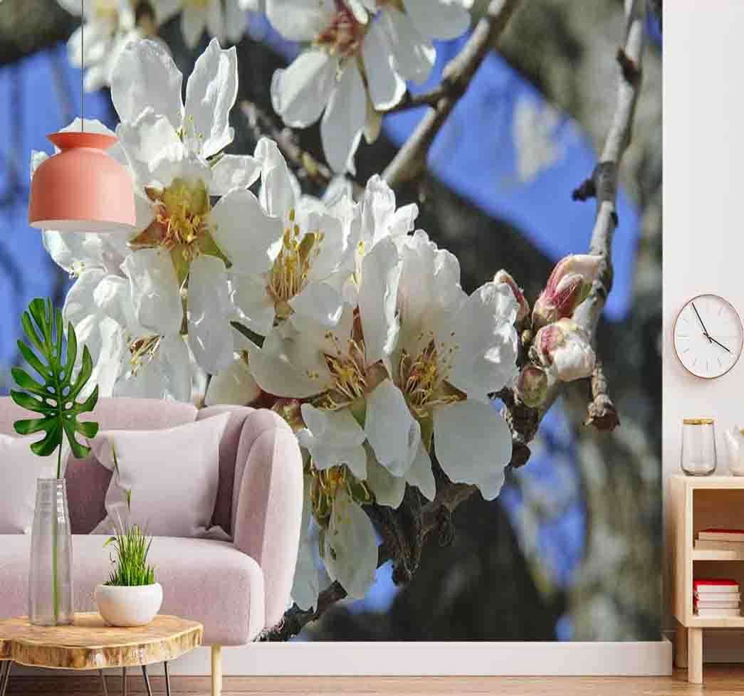 پوستر دیواری گل سفید کد F-8260