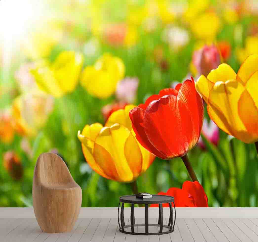 پوستر دیواری گل های قرمز و زرد کد F-8243