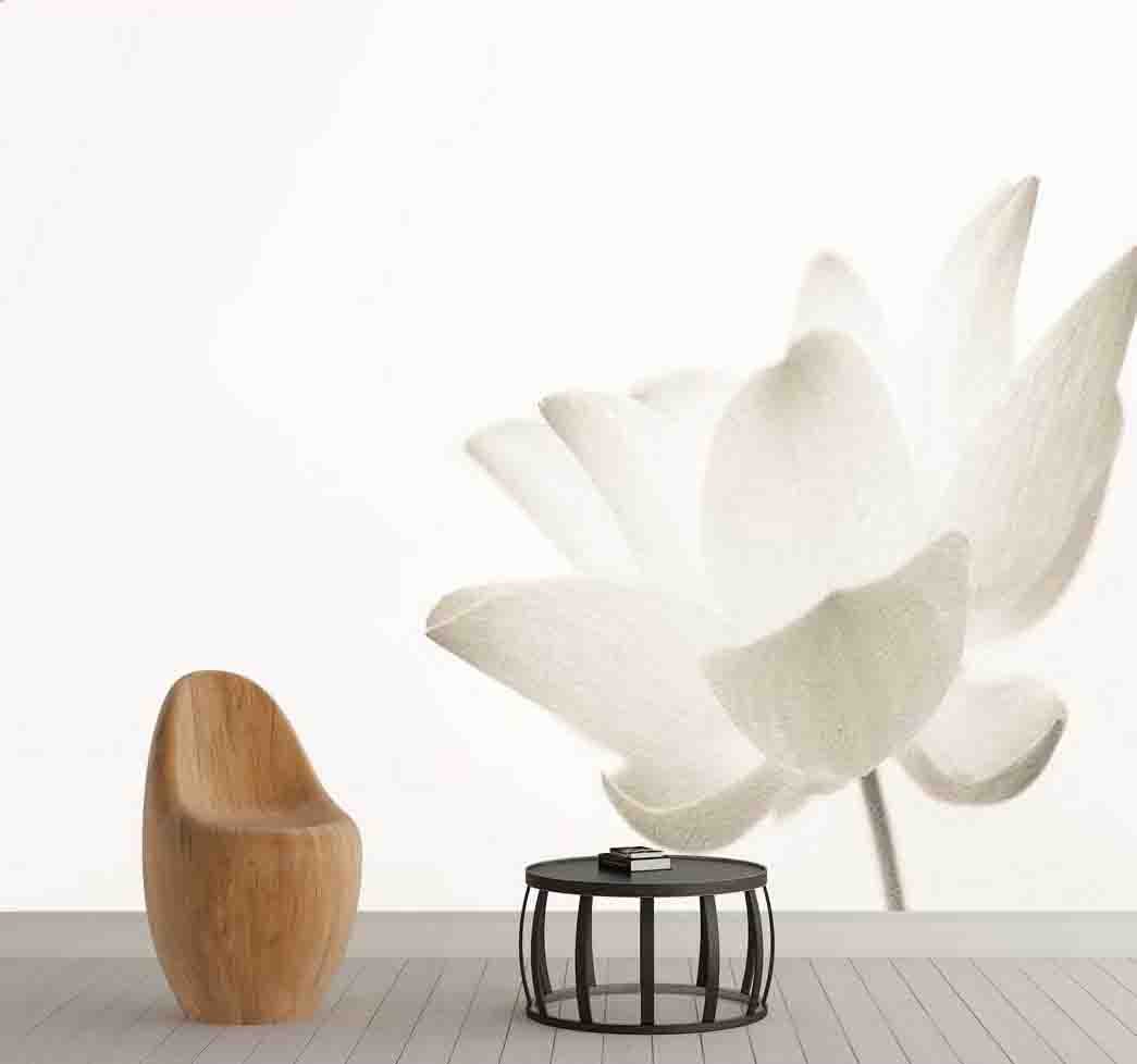 پوستر دیواری هاله ای از گل سفید کد F-8195