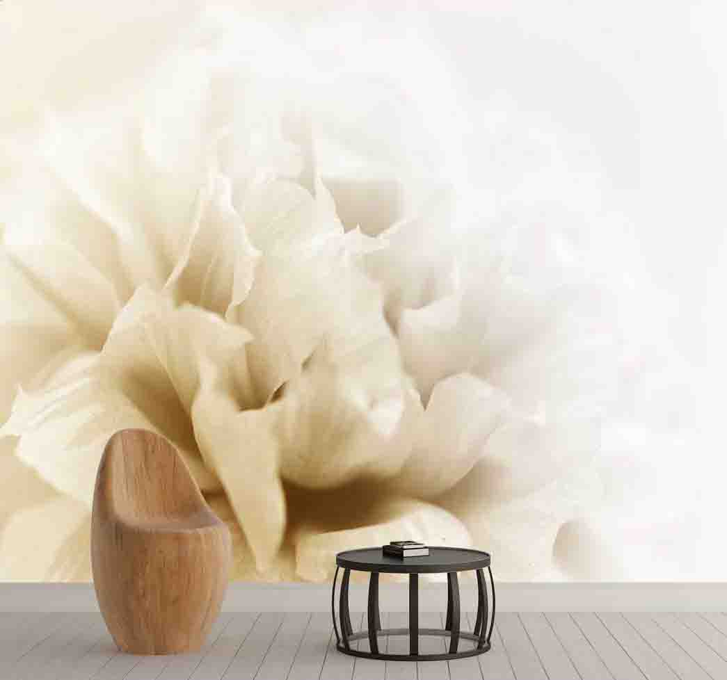 پوستر دیواری هاله ای از گلبرگ سفید کد F-8176