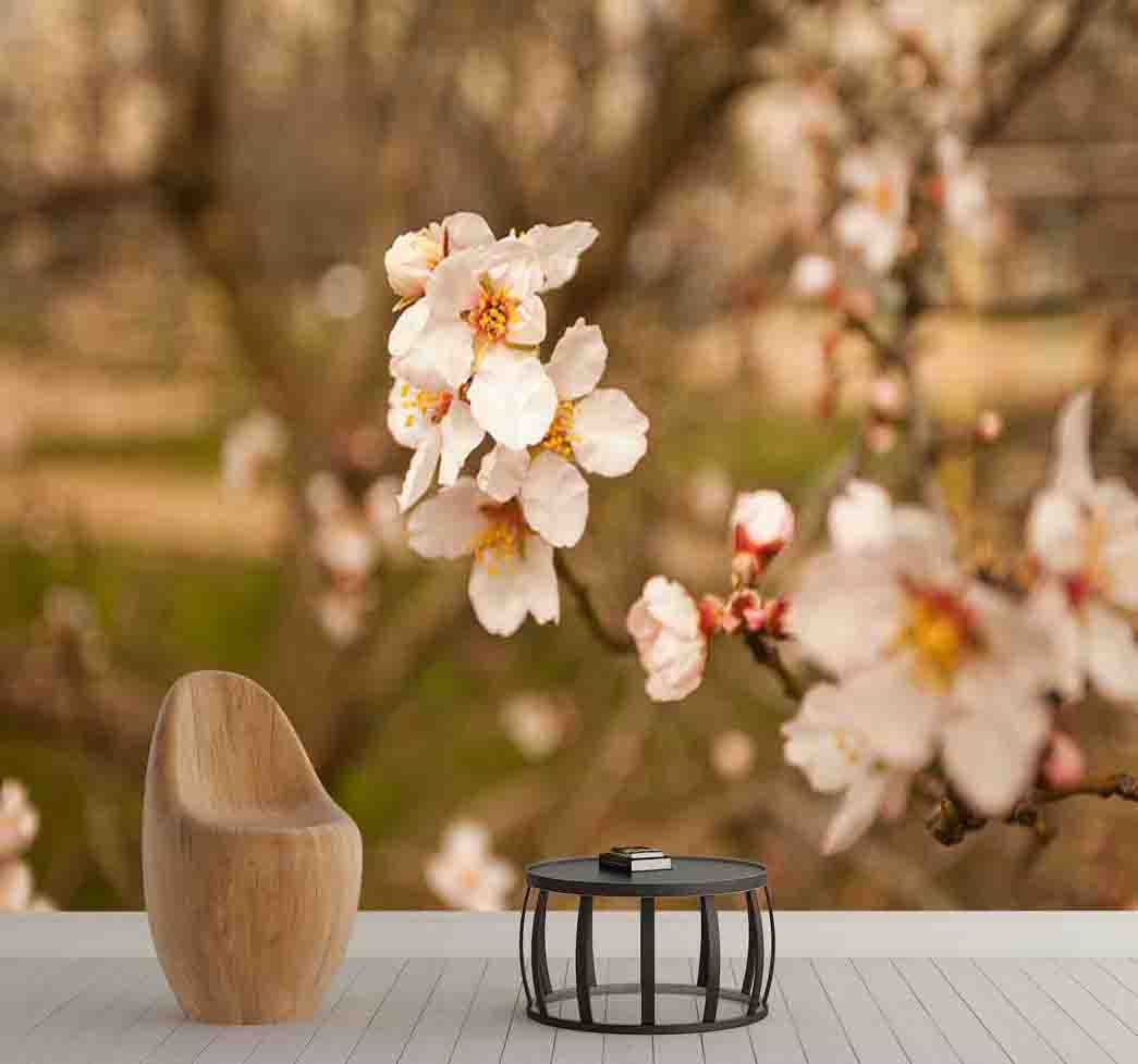 پوستر دیواری درخت شکوفه کد F-8272