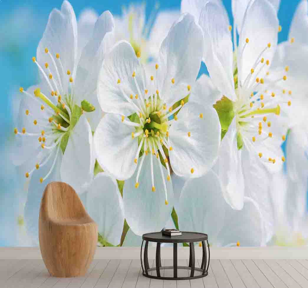 پوستر دیواری طرح شکوفه کد F-8307