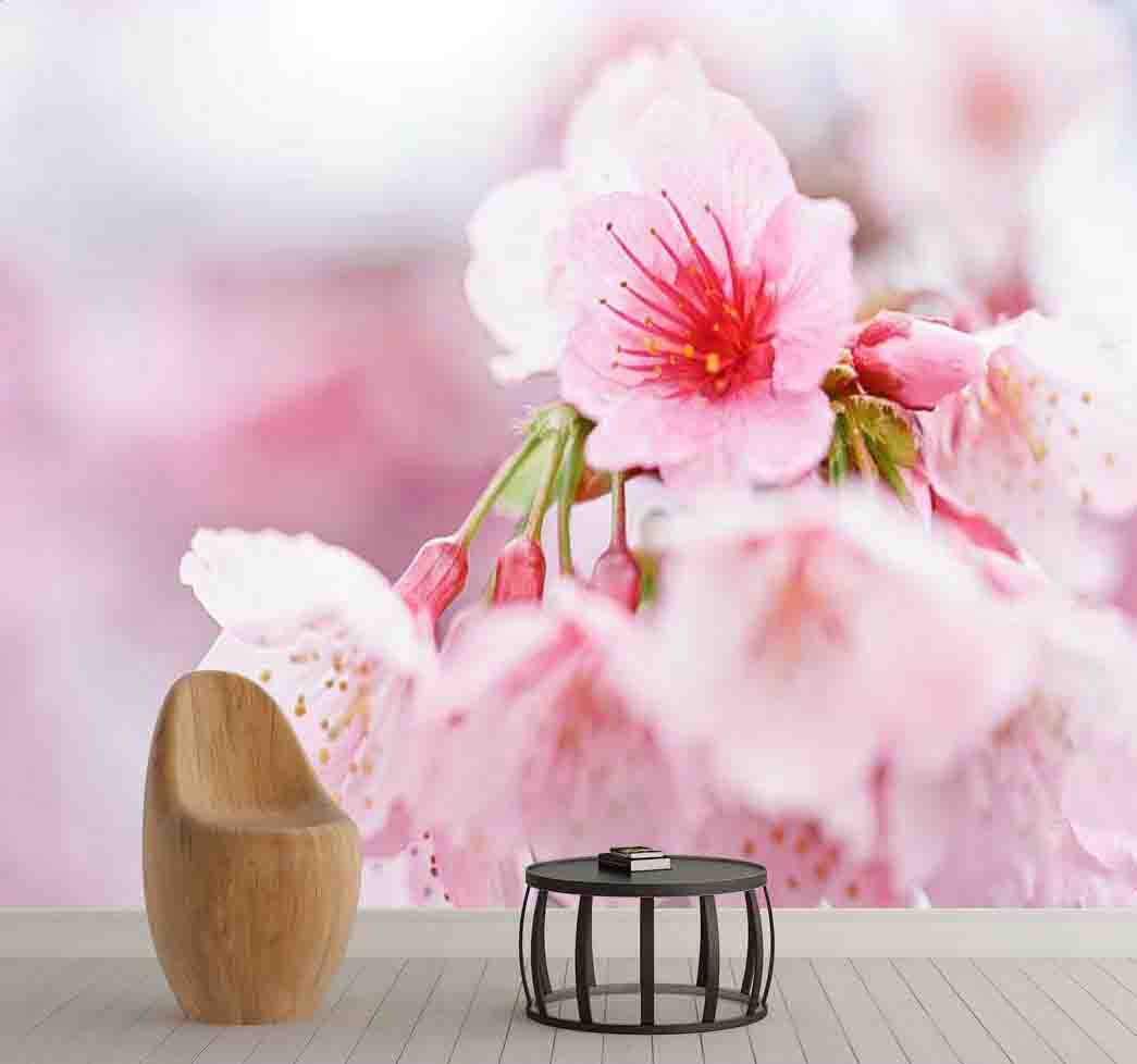 پوستر دیواری غنچه شکفته کد F-8288