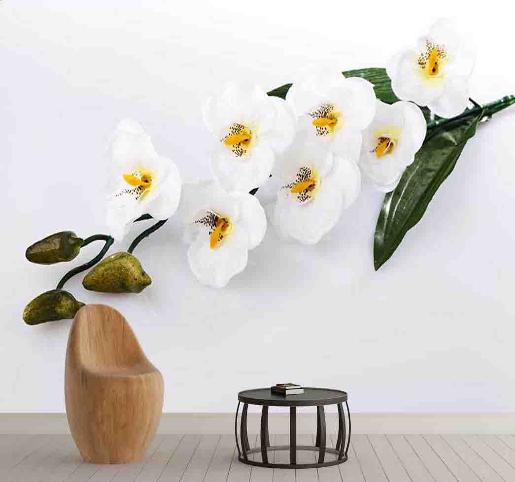 پوستر دیواری گل ارکیده سفید کد F-8188
