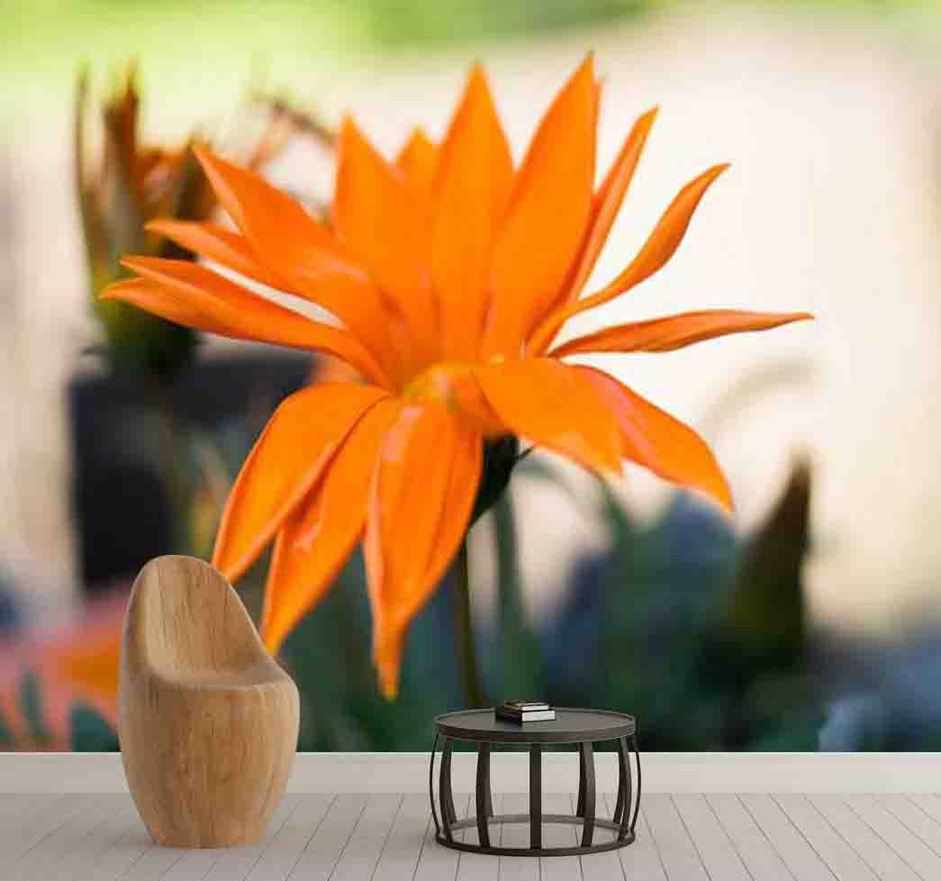 پوستر دیواری گل بهاری نارنجی کد F-8323